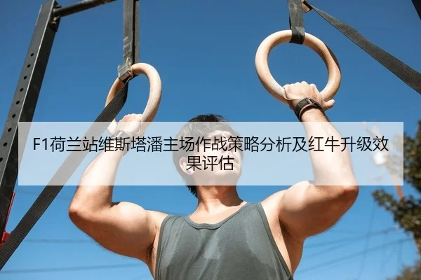 F1荷兰站维斯塔潘主场作战策略分析及红牛升级效果评估